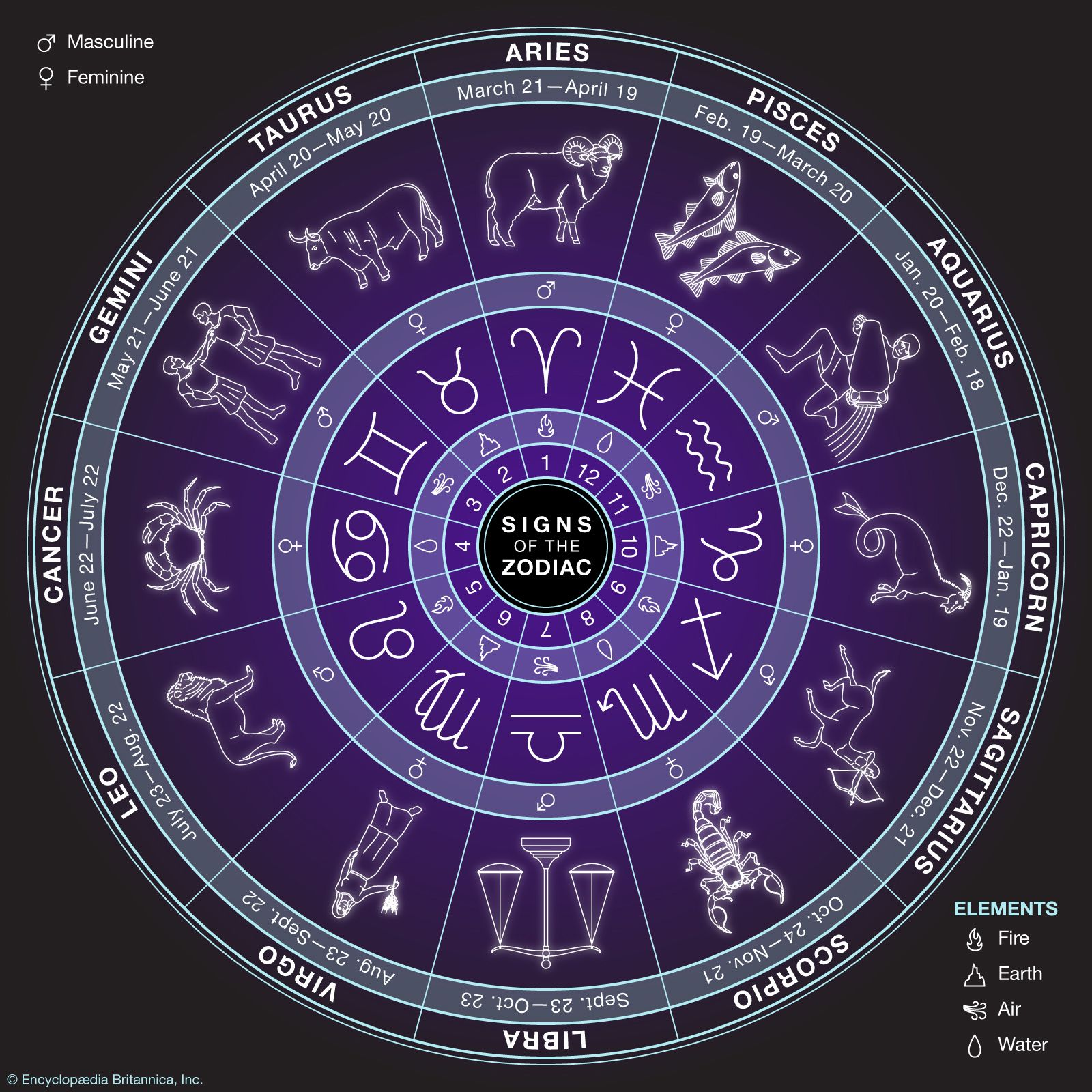 Basic Knowledge About Zodiac